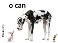 O can